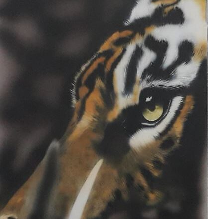 tiger 2